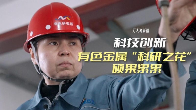 科技服务报价单：揭秘企业选择之道